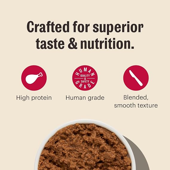 The Honest Kitchen Human Grade CateTM Grain Free Turkey Pate Wet Cat Food, 5.5 oz (Pack of 12)