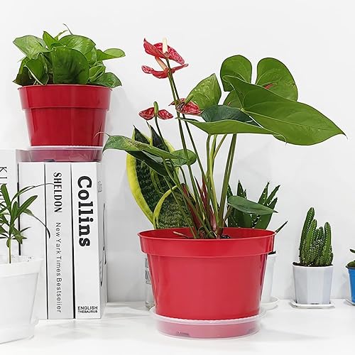 Vista 24 de Paquete de 40 macetas de plástico de 4 pulgadas con almohadilla de malla, macetas de plástico grueso y resistente con agujeros de drenaje para Verde