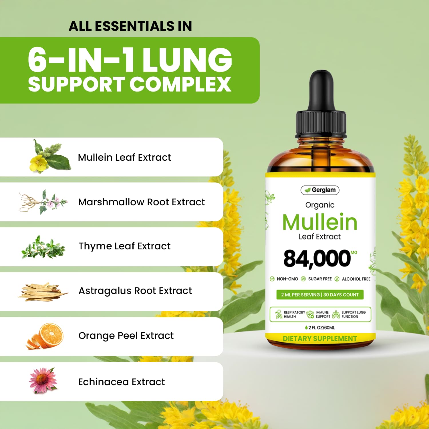 Mullein Drops for Lungs, USDA Organic Lung Detox and Cleanse Liquid with Marshmallow, Thyme, Astragalus, Orange Peel, Echinacea Alcohol & Sugar Free Extract for Smokers 2 Fl Oz — Amazon image 4