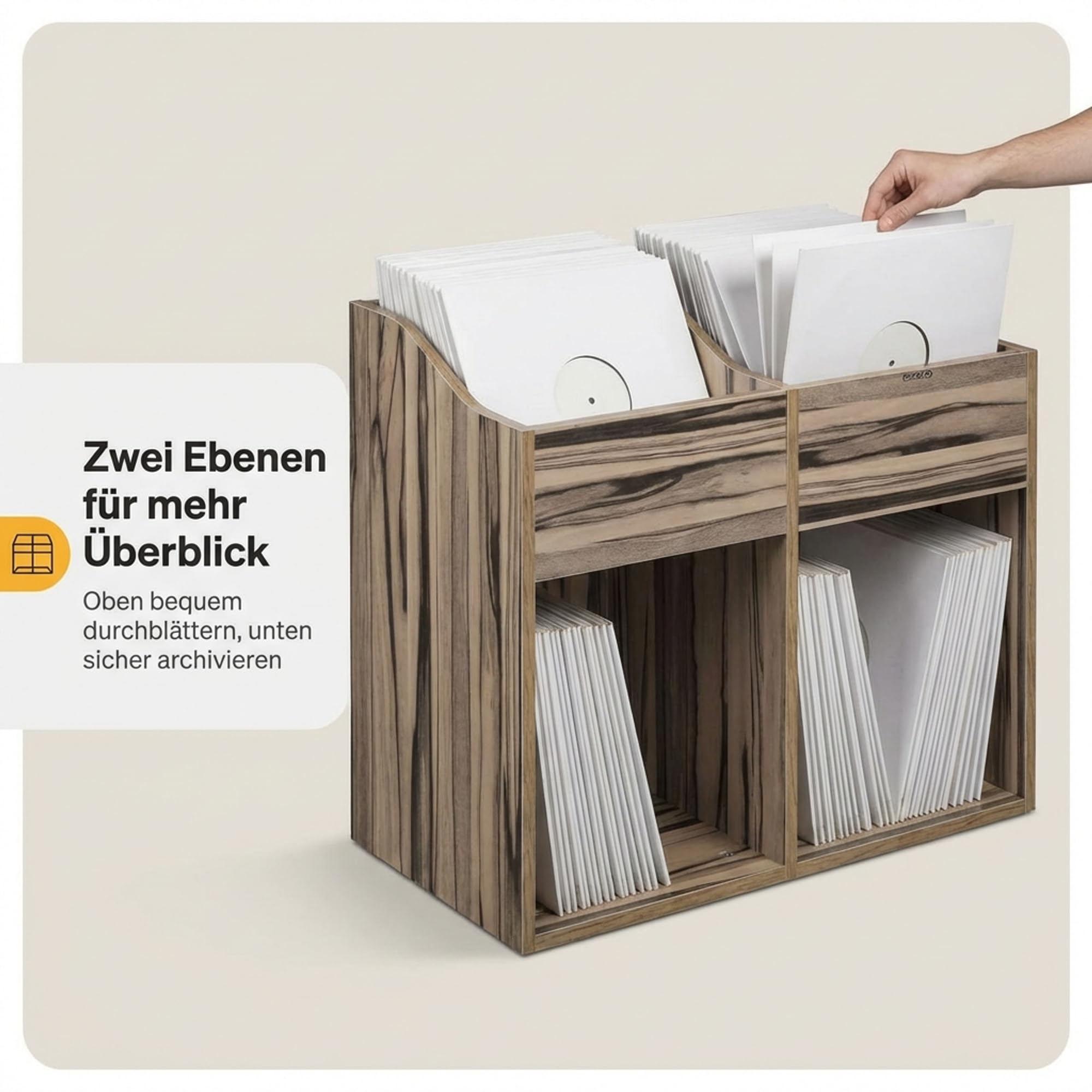 Zomo VS-Box 200/2 Vinyl Aufbewahrungsbox - 705 x 335 x 560 mm - Zebrano - MDF Holz - Regal für Schallplatten ca. 400 bis 480 LPs