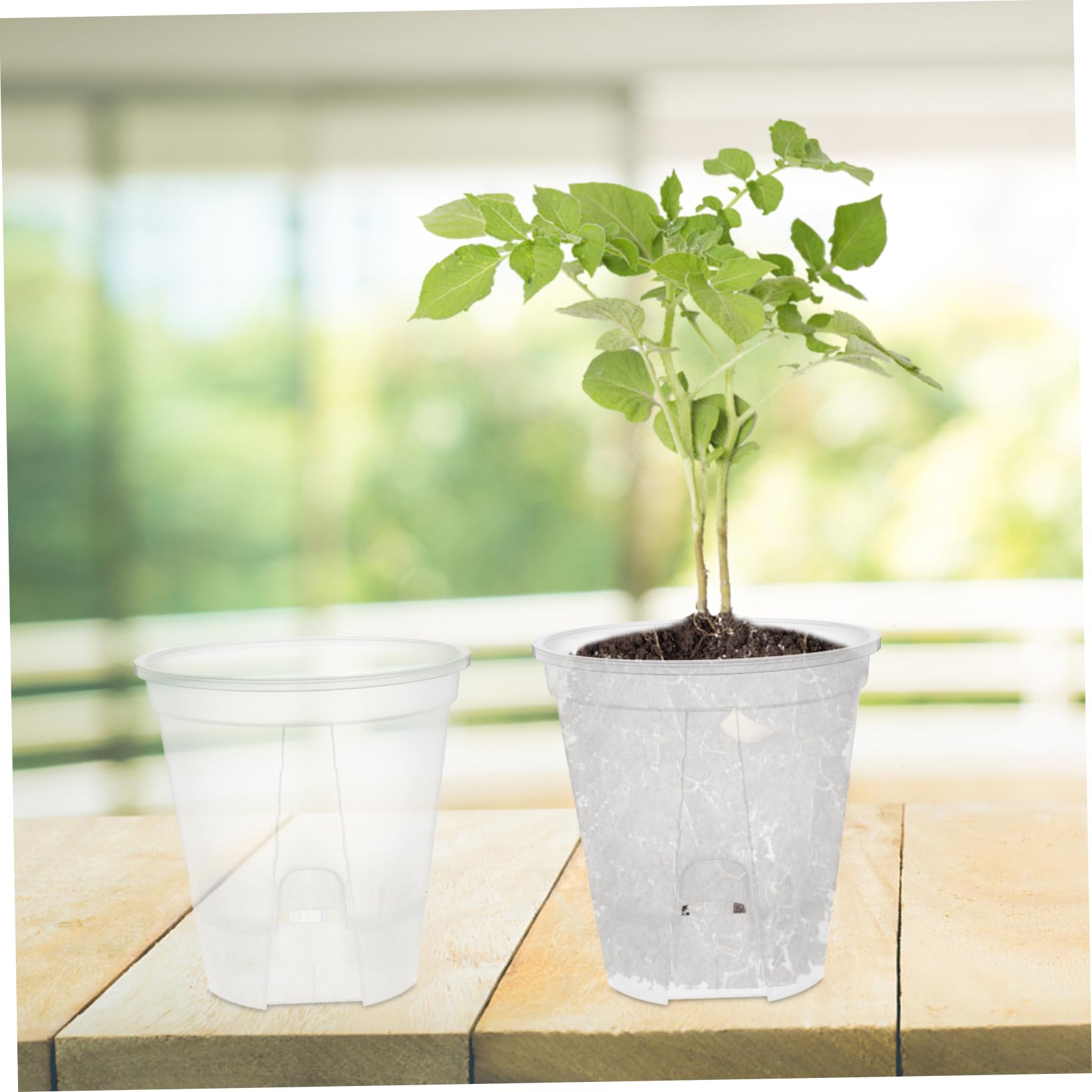 HEMOTON 6 Pièces Pots de Fleurs Transparent avec Drainage Auto Régulant Pots Plastique Clair pour Plantes Intérieur pour Orchidées et Autres Plantes Design Respirant et Portable