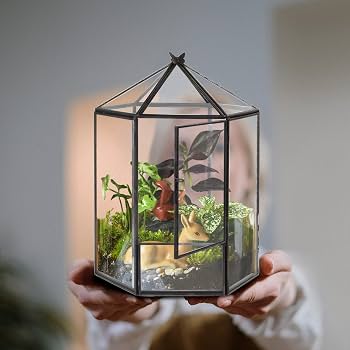 Terrarium En Verre Forme Maison - Mini Serre Avec Couvercle Pivotant - Pour Plantes Succulentes Et Déco