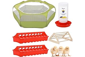 Pawaboo 5-in-1 Baby Chick Brooder Starter Kit: A Comprehensive Chick Care Solution