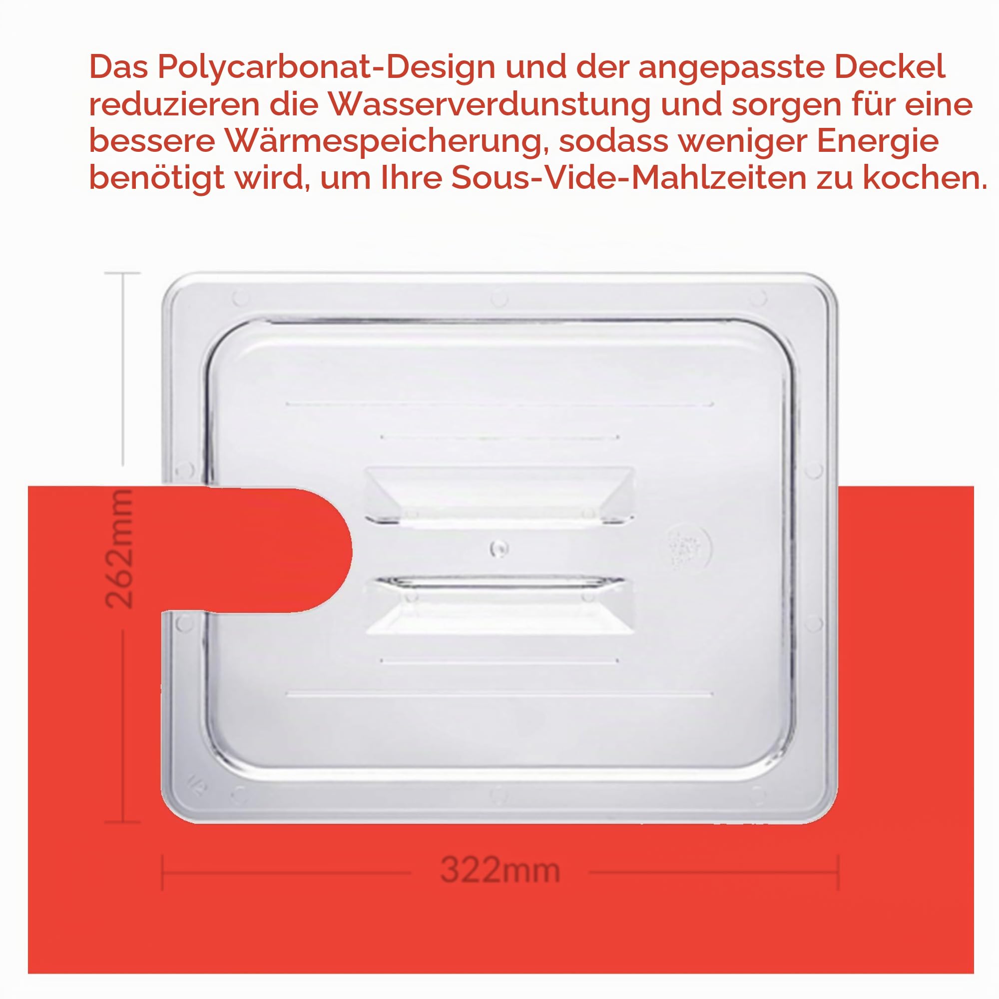 SousVideTools Container aus Polycarbonat, 11,6 l, mit Deckel passend für den iVide 2.0 Sous-Vide-Stick, durchsichtig, zum Garen, frei von BPA, nicht-haftend und spülmaschinengeeignet, SVT-PS11GN-IVIDE