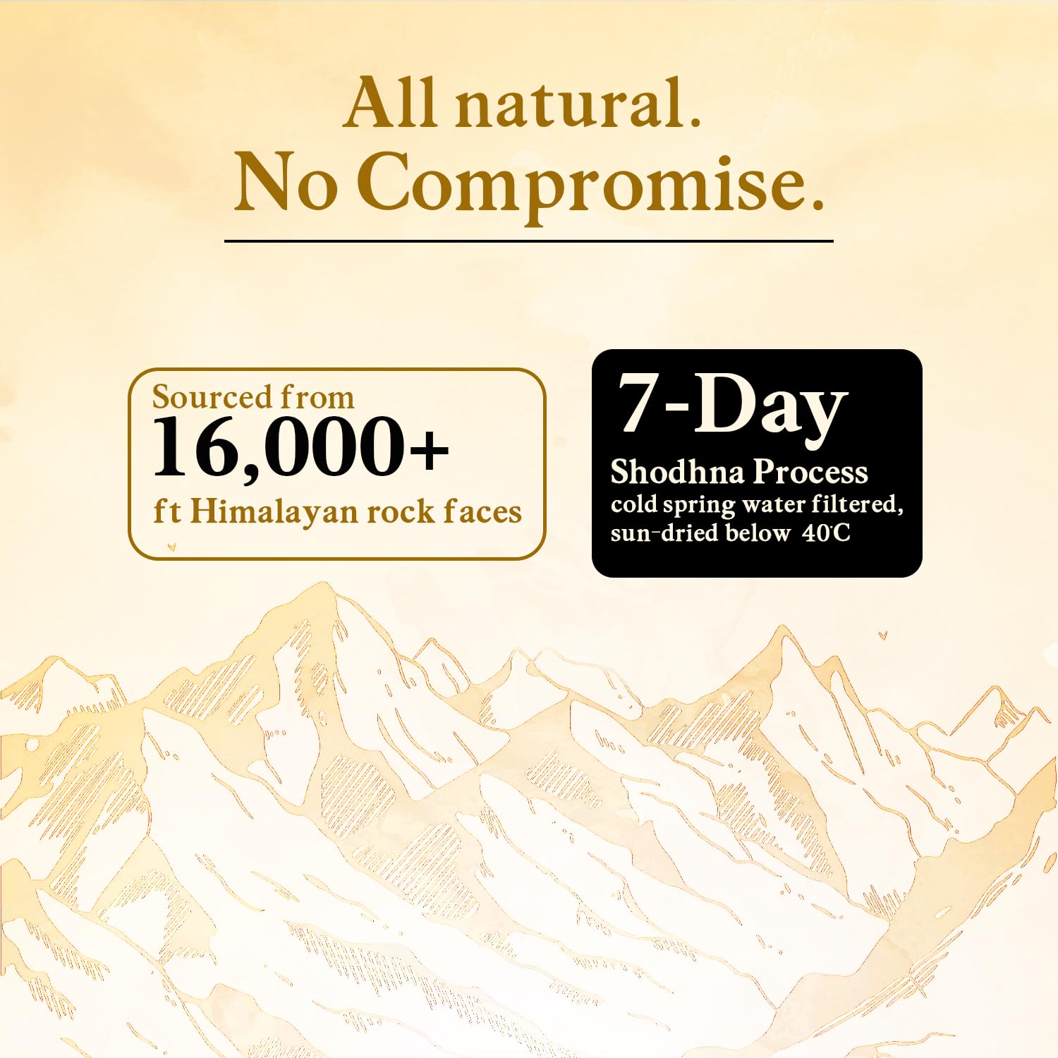 Pure and Natural Shilajit Resin 30g | Helps in boosting Stamina | Performance Booster For Endurance| For Men & Women| Ayurvedic (Pack of 3) — Amazon image 6