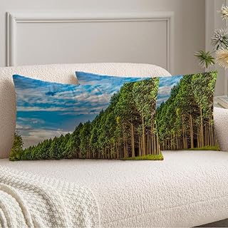 Velvet Pillow Covers 12x20 Pack of 2 Eucalyptus Plantation Grown Tea Growing Industry Australian Kenya Industrial Agricultural Nature Decorative Throw Pillow Cover for Couch, Bed, and Home Decor
