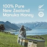 New Zealand Honey Co. Raw Manuka Honey UMF 15+ MGO 514+ - Monofloral, New Zealand Source : Pollens naturels et enzymes - UMF Certifié pour le bien-être quotidien - 500g (17.6oz)