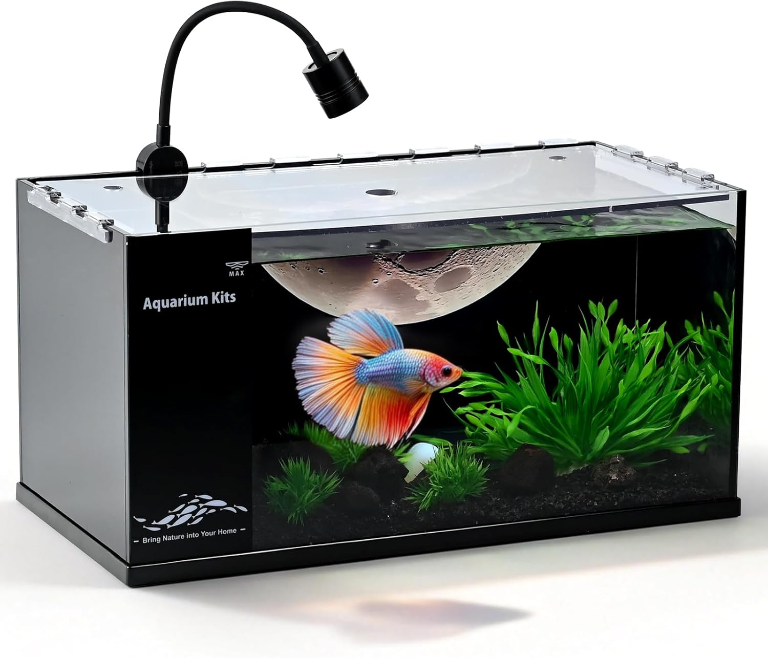 Fish Tank Kit,3 Gallon Small Aquarium,Ultra-Clear Nano Aquarium,Betta Fish Tank,Suitable for Small Fish Tank,Aquarium Starter kit,Desktop Fish Tank (Black Background)