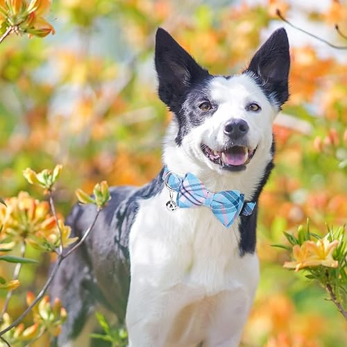 Miniatura 6 de BINGPET Juego de arnés y correa para perro, ajustable sin tirones, a prueba de escape, arnés clásico a cuadros para cachorros y correa para perros