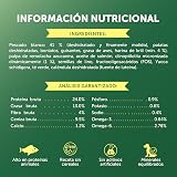 Ver la foto 8