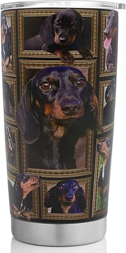 STAOVAIF Dachshund - Vaso con tapa a prueba de derrames, para café helado, taza de viaje aislada de acero inoxidable, botella de agua de 20 onzas