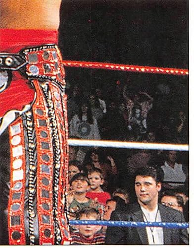 1997 Panini WWF Superstar Stickers Wrestling #23 Shawn Michaels The Heartbreak Kid Official WWF World Wrestling Federation Album Sticker Measuring 2