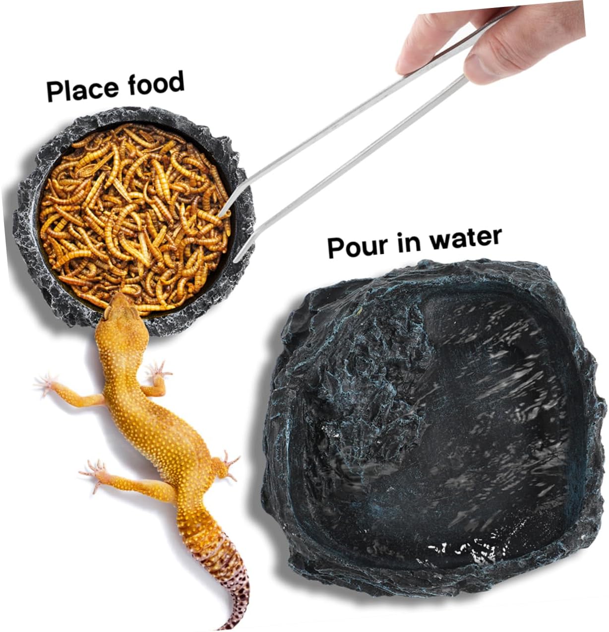 PRETYZOOM Large Reptile Food Bowl Turtle Water Dish Snake Feeding Tongs Crab Food Dish Reptile Bowl Easy to Clean