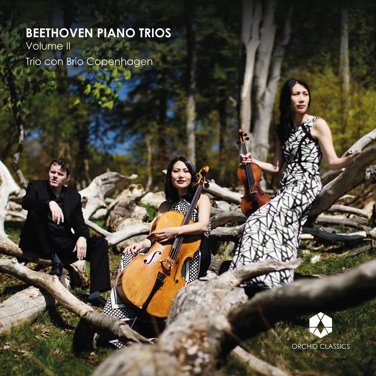 Ludwig van Beethoven: Piano Trios Volume II