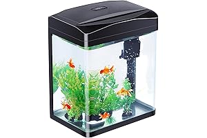 Compact and Convenient: 2-Gallon Aquarium Starter Kit for Your Aquatic Friends