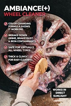 SudzBox Ambiance Wheel Cleaner