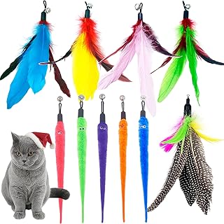 TIENAILING Cat Feather Toys Refills Worm Cat Toy, 10 PCS Cat Wand Replacement Feathers, Cat Toy Replacement Feathers for Cat Wand