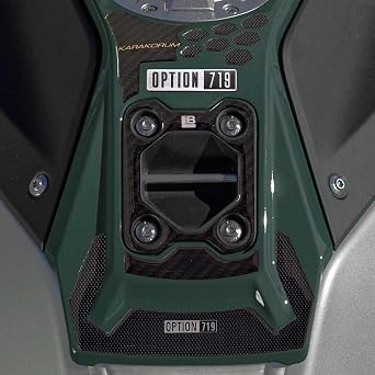 labelbike - 3D Sticker Motorcycle Zone Above Fuel Tank Protection and Decoration in Resin Compatible with BMW R 1300 GS Adventure Green Color