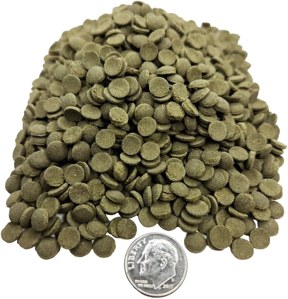 Aquatic Foods Inc. 8mm -1/3" Mini Spirulina Algae Sinking Wafers for Bottom Fish, Plecos, African Cichlids, All Tropical Fish, Shrimp, Snails…2-lb