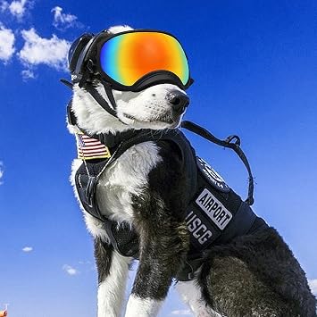 Pacify Dog Goggles for Large Dogs