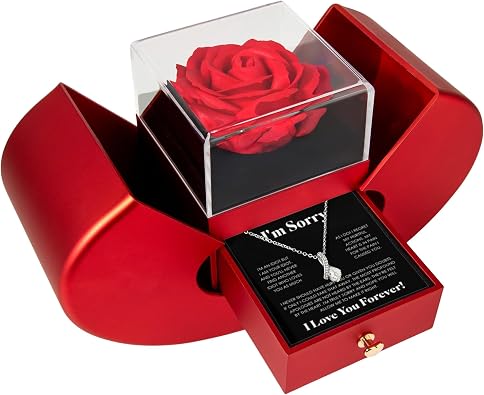 FG Family Gift Mall Im Sorry Gifts For Her, Apology Gifts For Her, I Love You Im Sorry Gift, Giant Sorry Forgiveness Necklace with Message Card and Gift Box