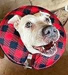 Review Image by Kelly Kelly