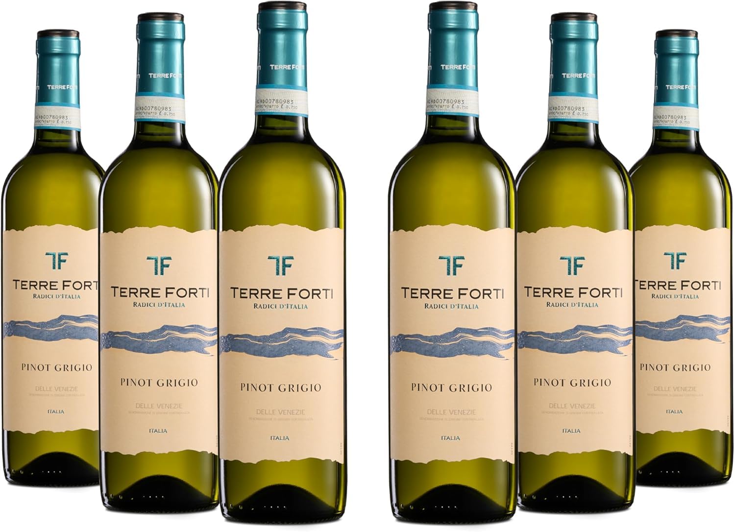 Terre Forti Pinot Grigio Delle Venezie DOC, Trockener Italienischer Weißwein mit Pfirsich- und Grapefruitnoten, 12% Vol., Karton mit 6 Flaschen mit jeweils 750 ml