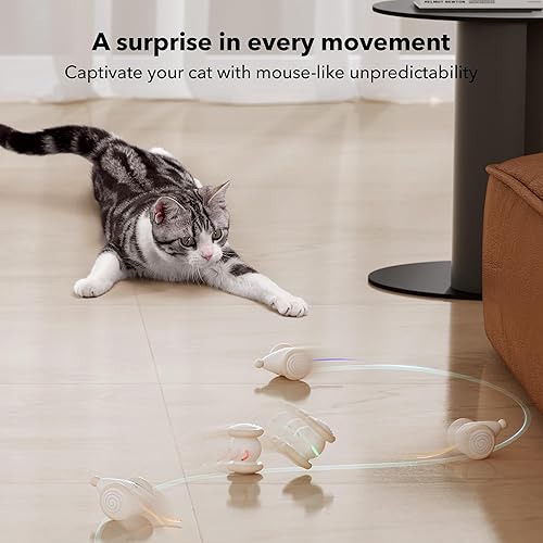 Miniatura 5 de Juguete interactivo para gatos de interior, 2024 actualizado Juguetes para gatitos, juguete automático para gatos con luces LED, juguetes de ratón