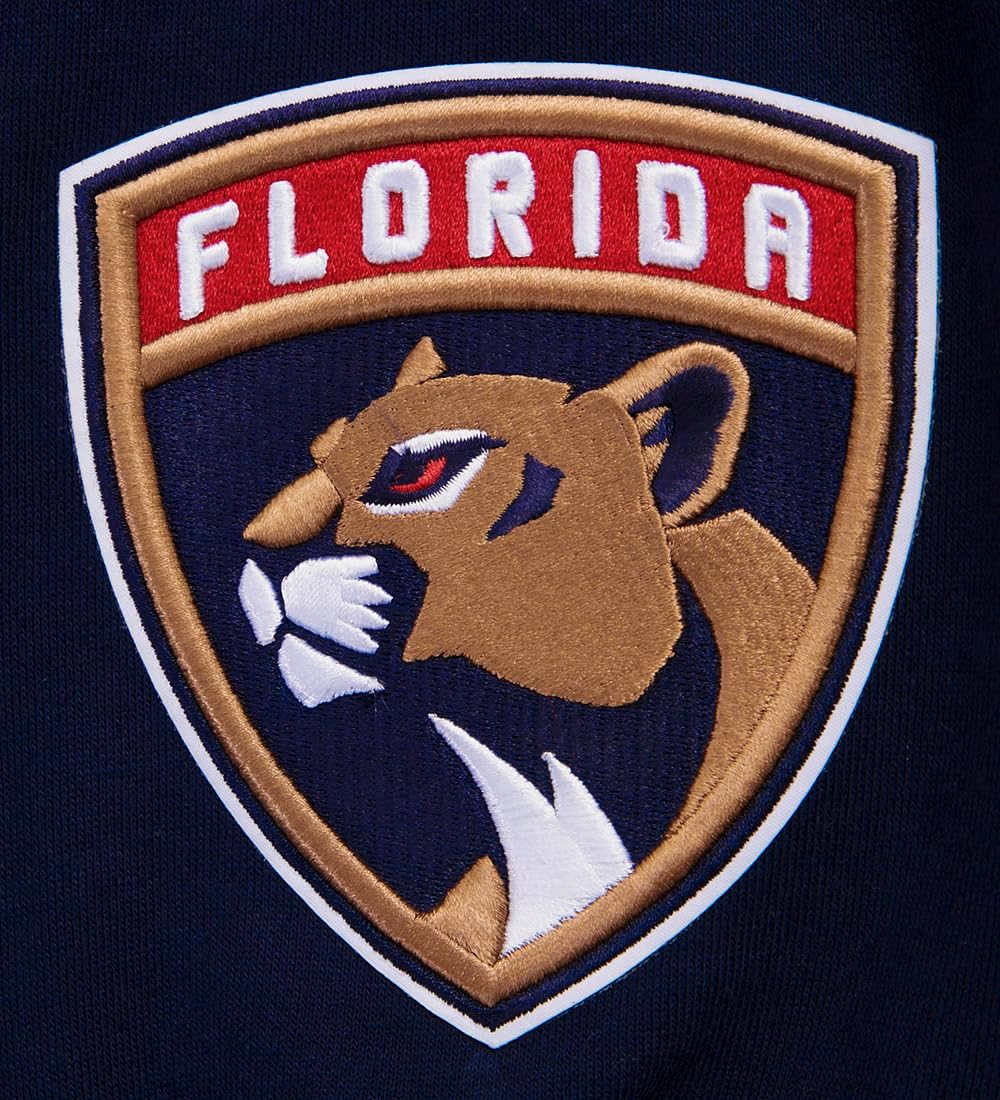 Pro Standard NHL mens Mens Nhl Wingspan Fleece Pull Over Hoodie