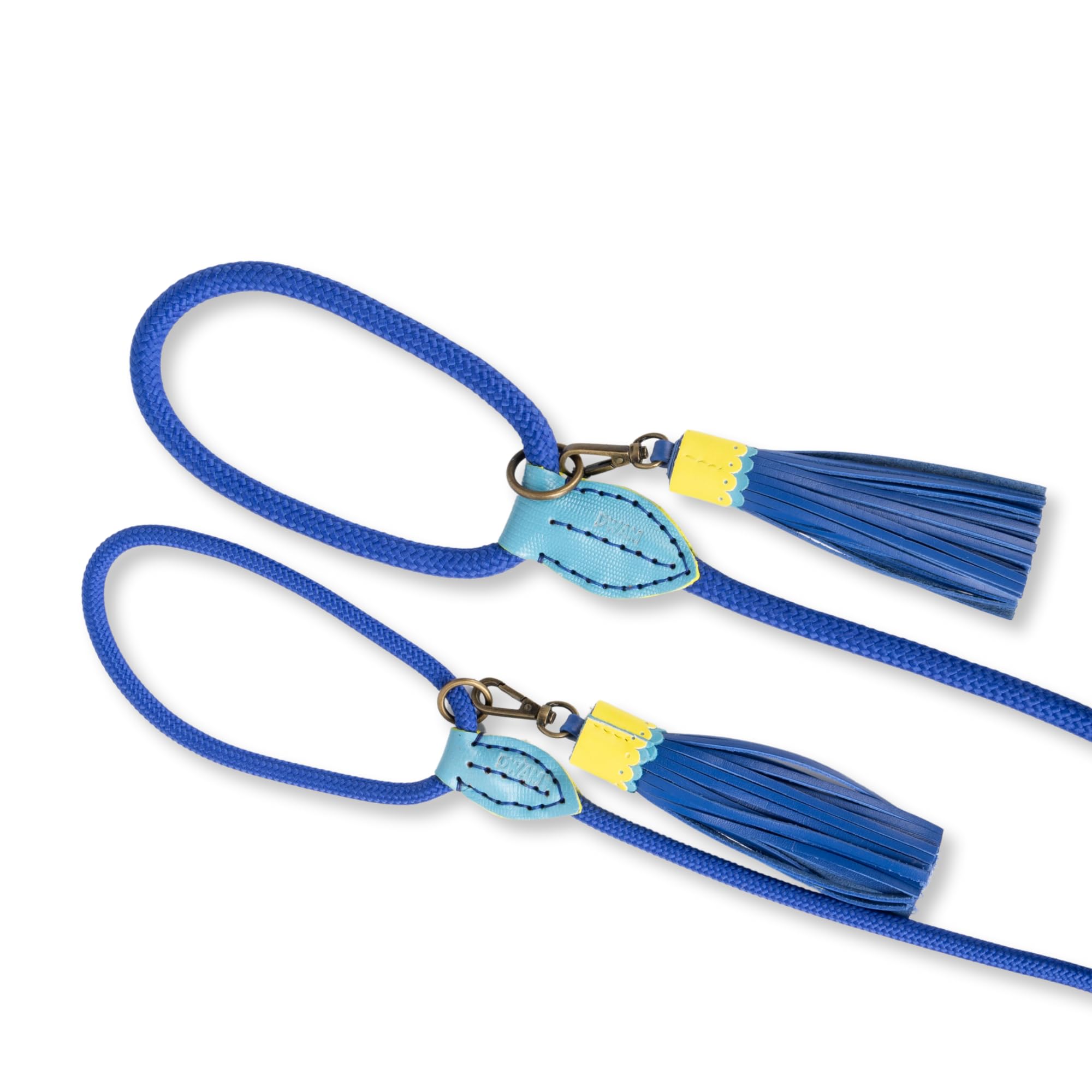 Dog with a Mission - Hundeleine S | Blaue Tauseilleine für kleine Hunde | Robuste Führleine mit Stabiler Karabinerhaken - 157 cm x 1 cm | Polyester & Leder - Leicht und stilvoll | Sky