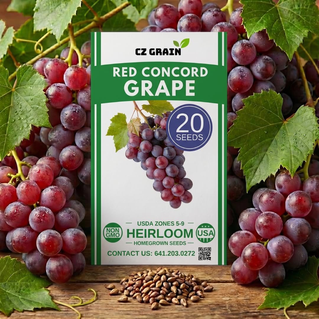 grape SEED １～８ Amazon.com: Zazzee High Strength Grape Seed 50:1 Extract, 180