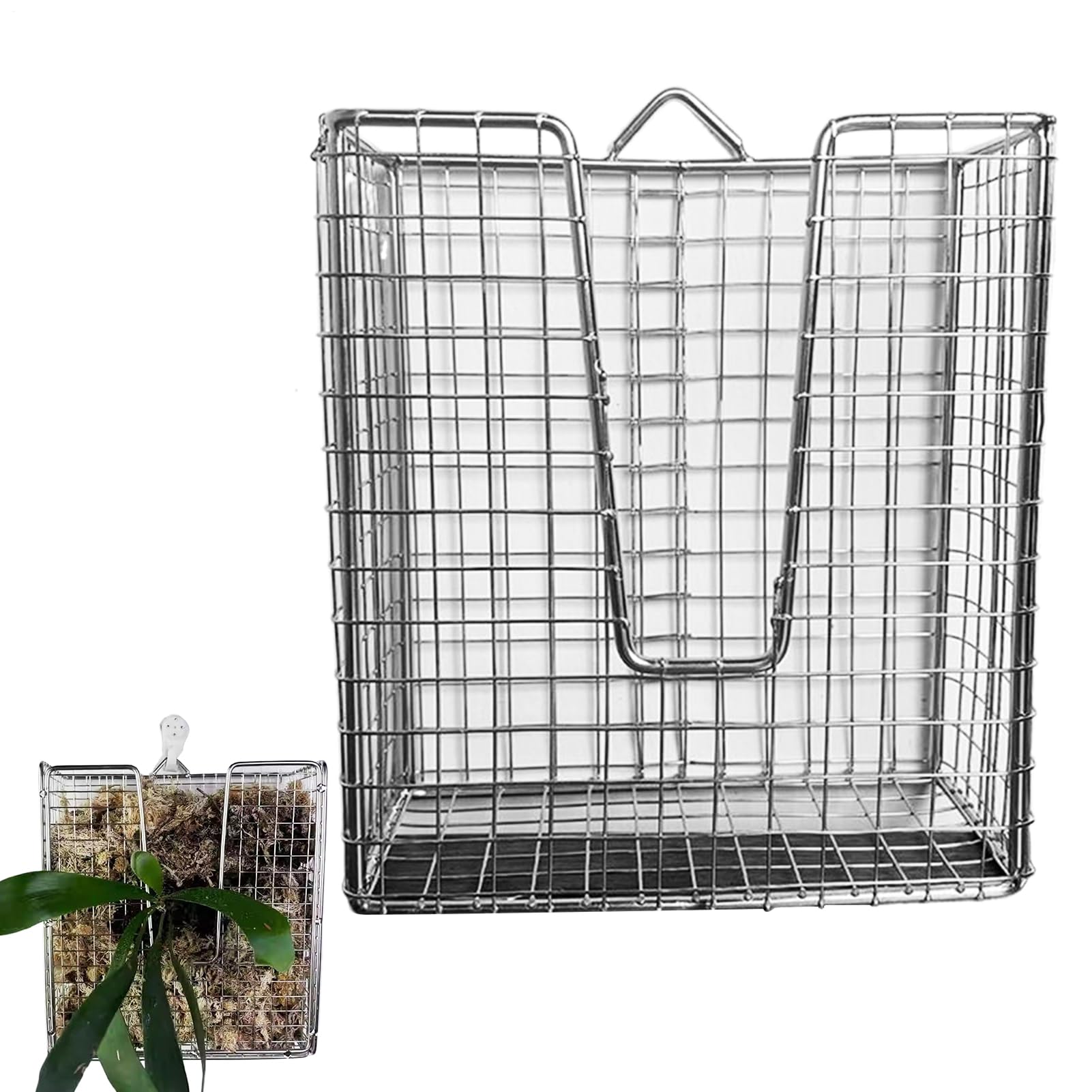 Fougère Staghorn kit de montage durable avec panier à orchidées vertical aéré
