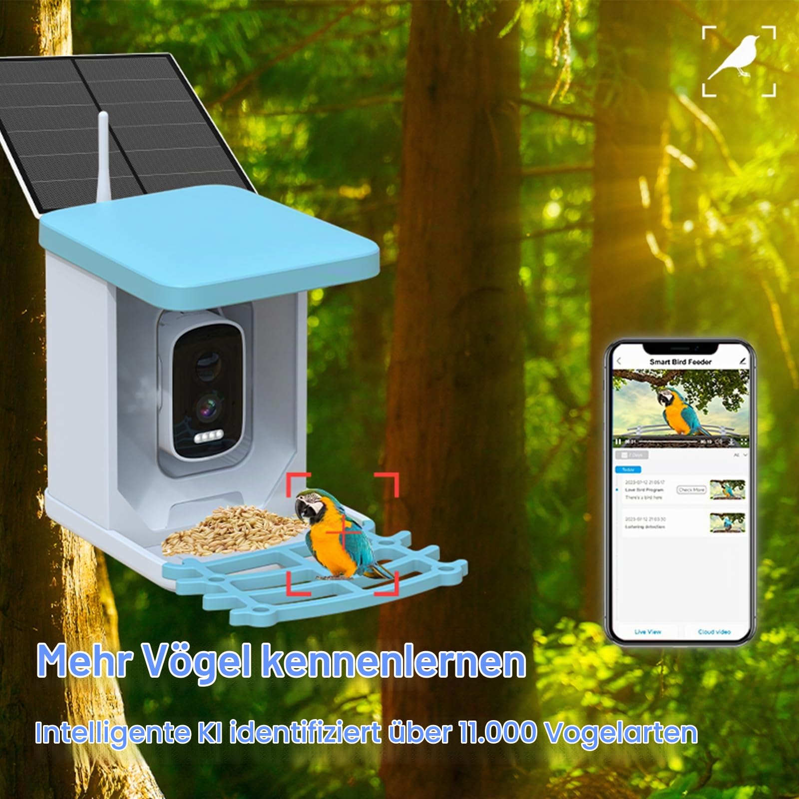 Vogelhaus mit Kamera, Nistkasten mit Kamera, Vogelfutterhaus | Video Aufnehmen, Vogelfutterspender WiFi Kamera Smart Vogelfutterautomat mit Solarpanel Stromversorgung & KI-Vogelerkennung