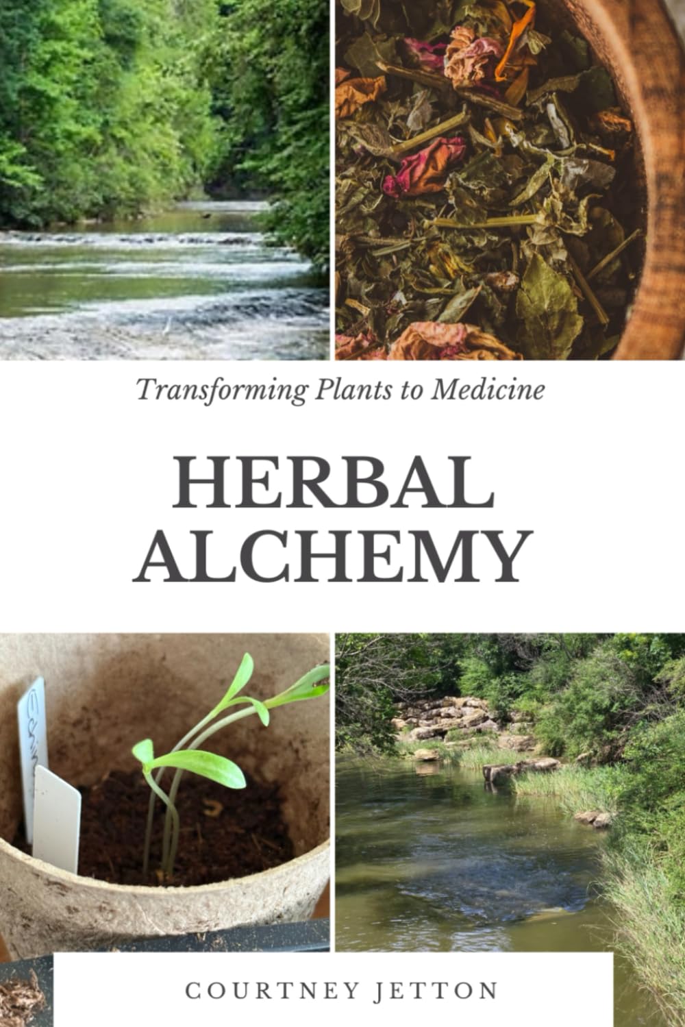 Herbal Alchemy: Transforming Plants to Medicine      Paperback – June 20, 2025