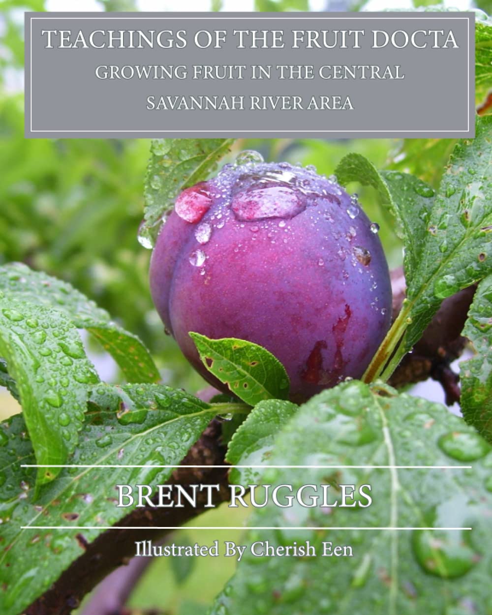 Teachings of the Fruit Docta: Growing Fruit in the Central Savannah River Area