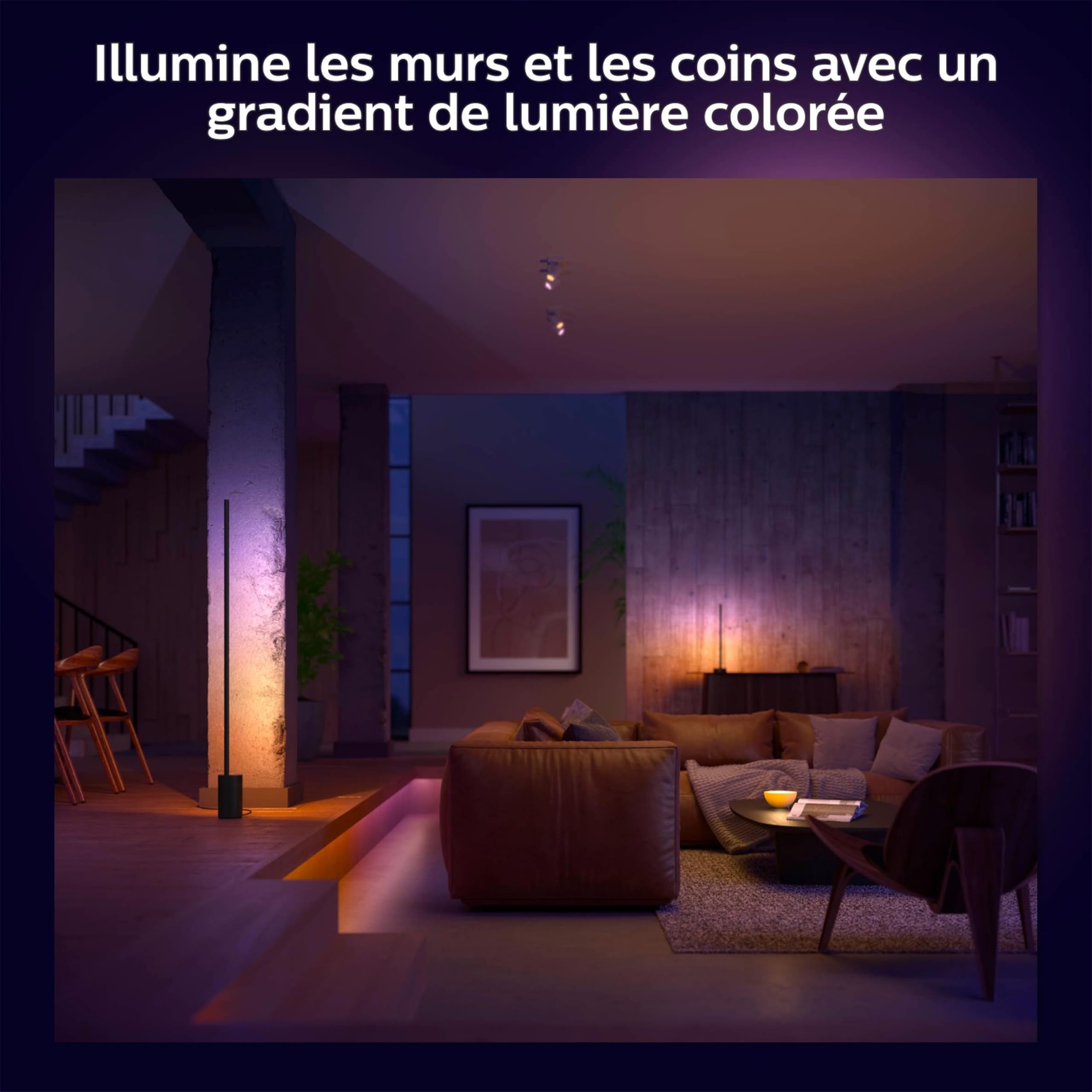 Philips Hue White and Color Ambiance Gradient Signe Noir Lampe sur pied Bluetooth Compatible Alexa Google Assistant Apple Homekit
