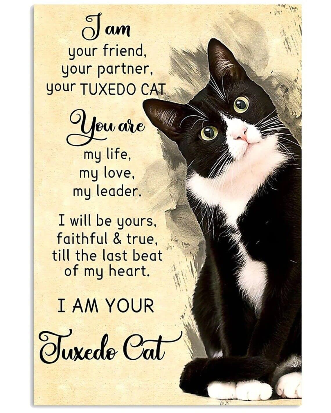 Aoevc Tin Sign 011 I Am Your Tuxedo Cat Poster Vintage Metal Tin Sign Bar Pub Club Cafe Home Wall Decor Metal Tin Sign 6X8 Inch