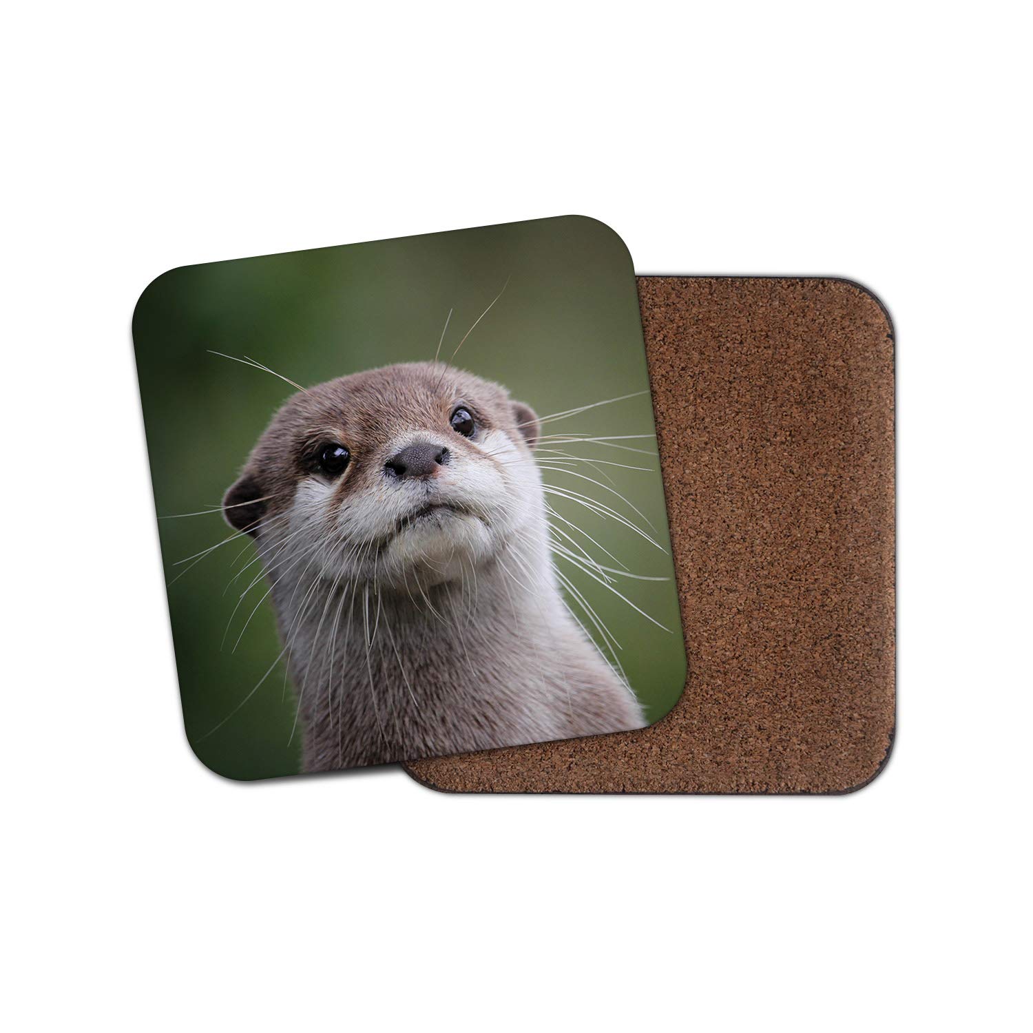 Destinationvinyl Multicolor 1 X Cute Otter Coaster - Wild Animal Wildlife Nature Cheeky Funny Sea #14988