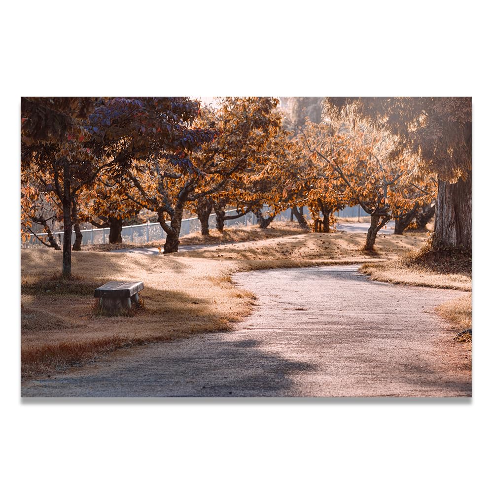 VHdfgTY WalkNature Landscape Wall Art Canvas Mountain Scenery Print Home Decoration 60x90cm Unframed