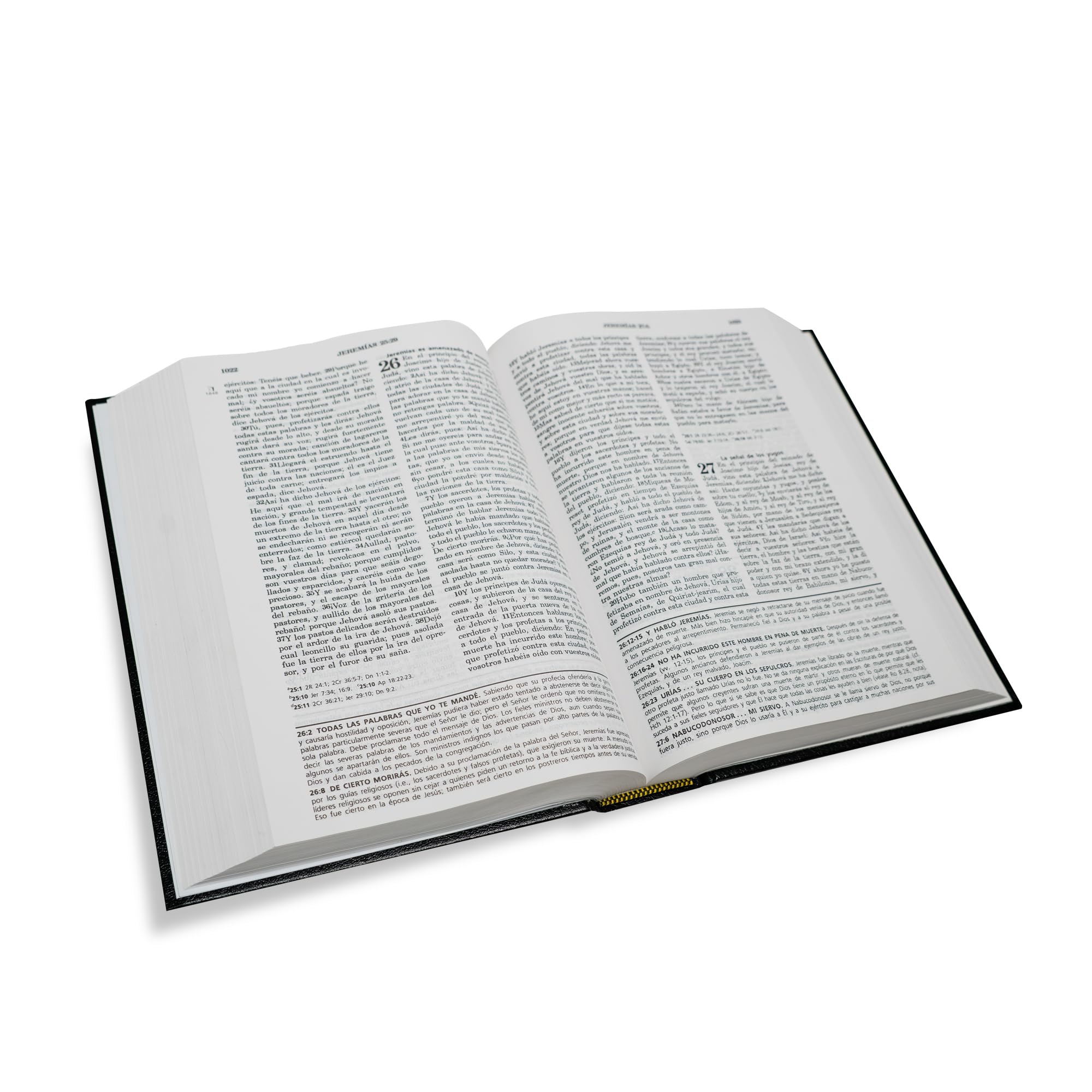 Biblia de Estudio de la Vida Plena-RV 1960: Reina-Valera 1960 (Full Life Study Bible)