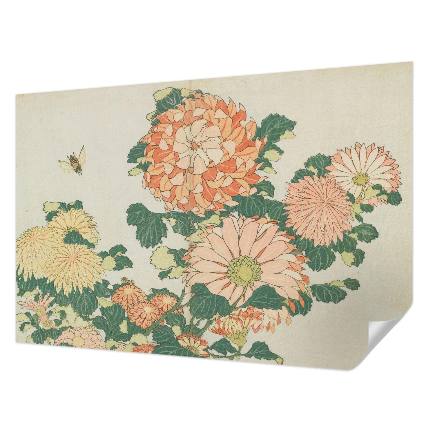 Papier peint haute qualité 104x70 cm décoration murale moderne chrysanthème Tulup