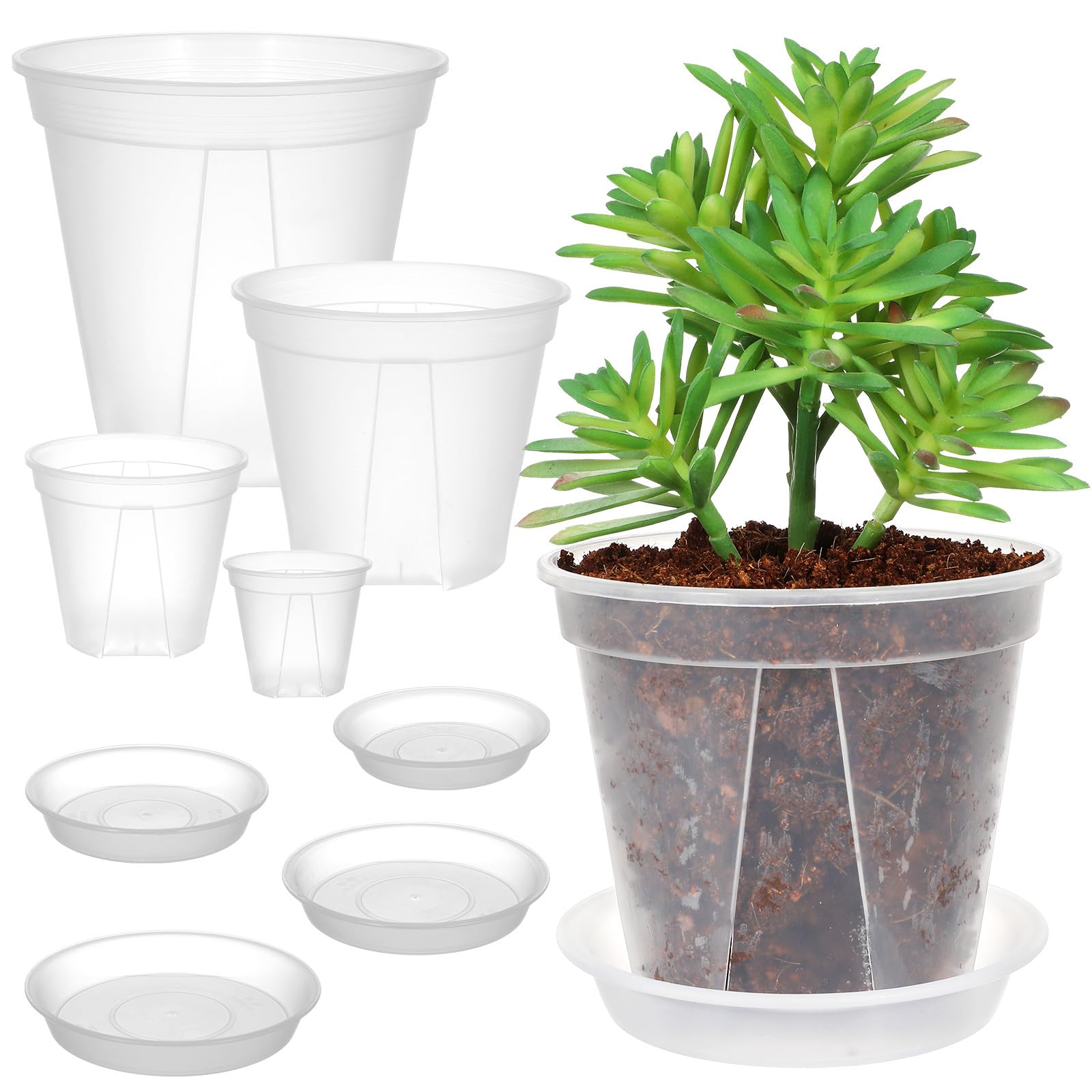 Beavorty Set 4 Vasi Trasparenti in Plastica Sottovaso, Contenitori per Piante da Interno ed Esterno, Fioriere per Fragole e Fiori, Vasi da Giardino per Uso Domestico e Ufficio