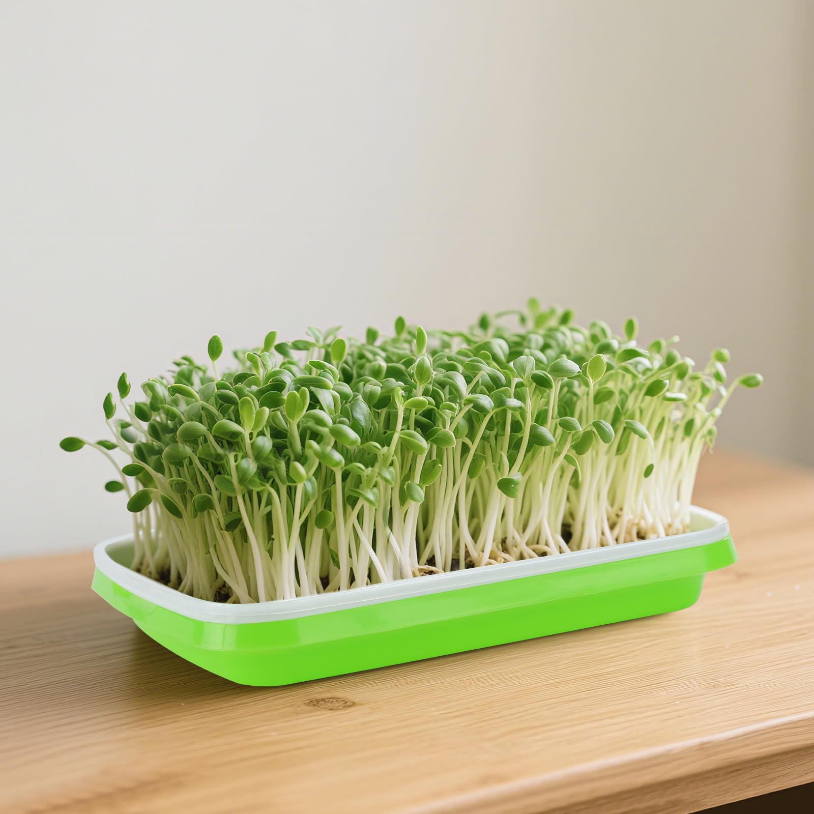 PINGEUI Confezione da 8 vassoi per la germinazione dei semi con coperchio, 33 cm x 26 cm, vassoi per la coltivazione di microgreens con 40 carte germinanti, propagatori idroponici per la coltivazione