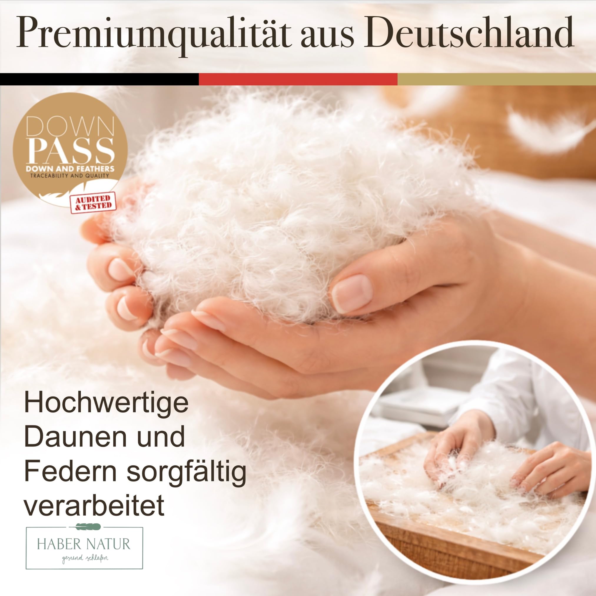 HABER NATUR 3-Kammer Daunenkissen 40x80 2 Stück-Made in Germany-Kopfkissen | 90% Daunen & 10% Federkissen | 700g Füllgewicht |Allergiker geeignet (NOMITE) | Tierwohl (DOWNPASS) | Oeko-TEX Klasse 1
