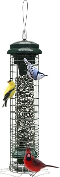 Brome Squirrel Solution 150 Squirrel-Proof Bird Feeder for Wild Birds 4 Stainless Steel Perches, 2.6 lb Seed Capacity, Chew-Proof, Free Seed Funnel Included