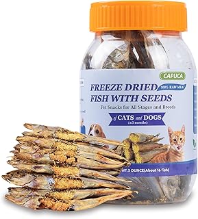 Feeding Fish To Cats: What You Need To Know PetShun