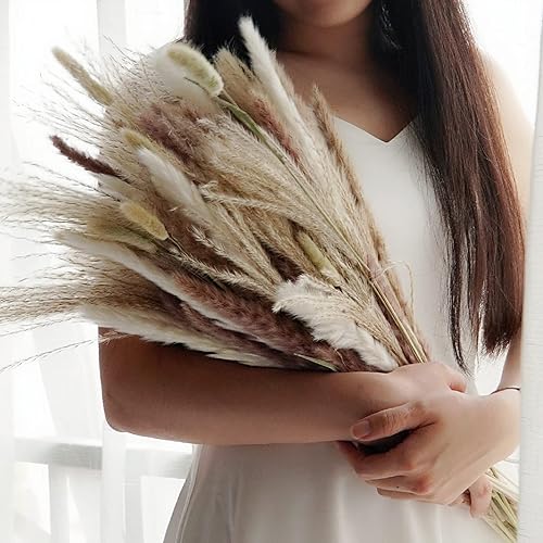 TEAMOLA 100 piezas de decoración de hierba de las pampas, ramo de flores secas naturales, colas de conejo, pampas, hierba de las pampas, arreglos