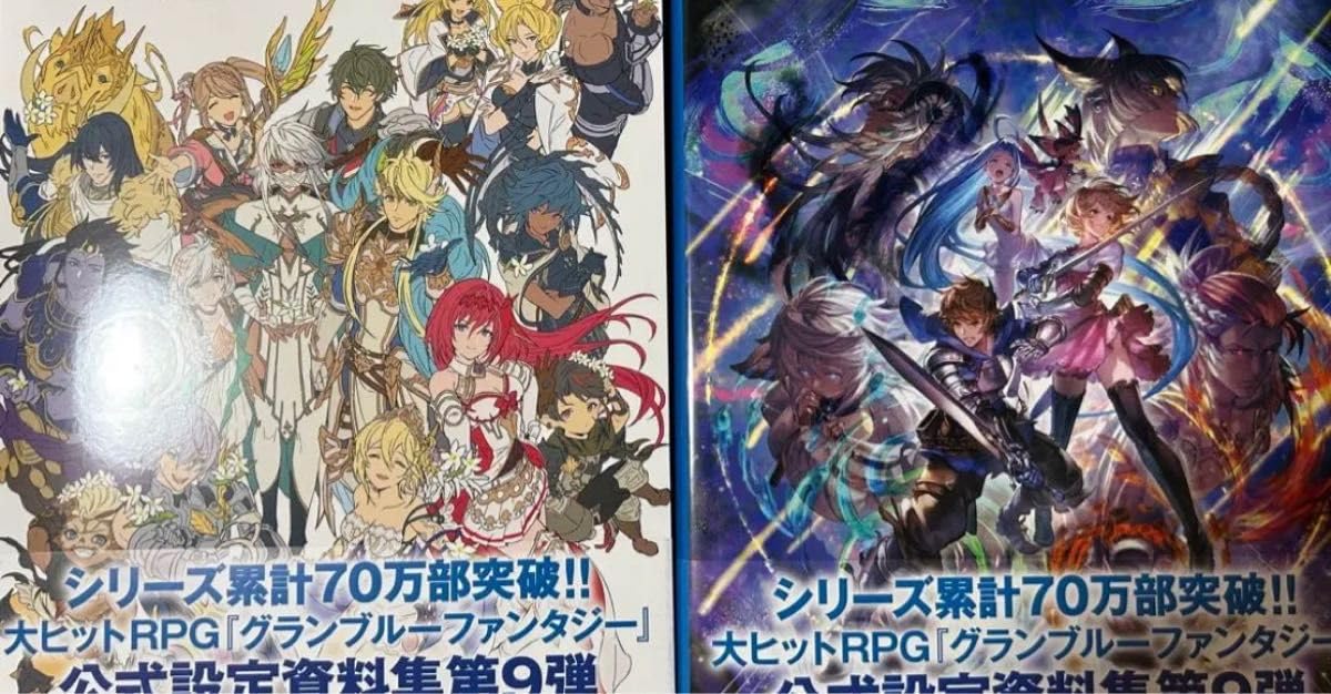 Amazon.co.jp: グラブル 公式設定資料集2冊 GRAPHIC ARCHIVE Ⅸ EXTRA9