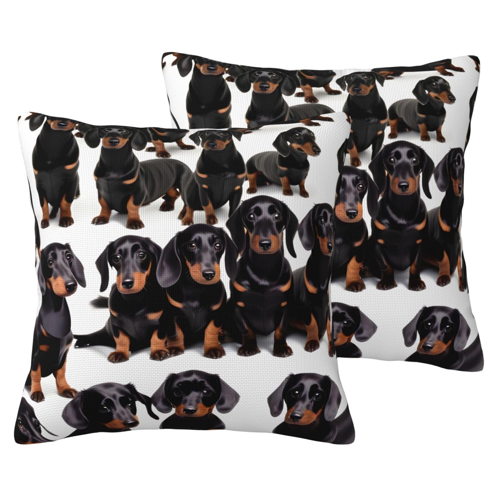 Housse de coussin motif chien EdWal pour un salon cosy et chaleureux