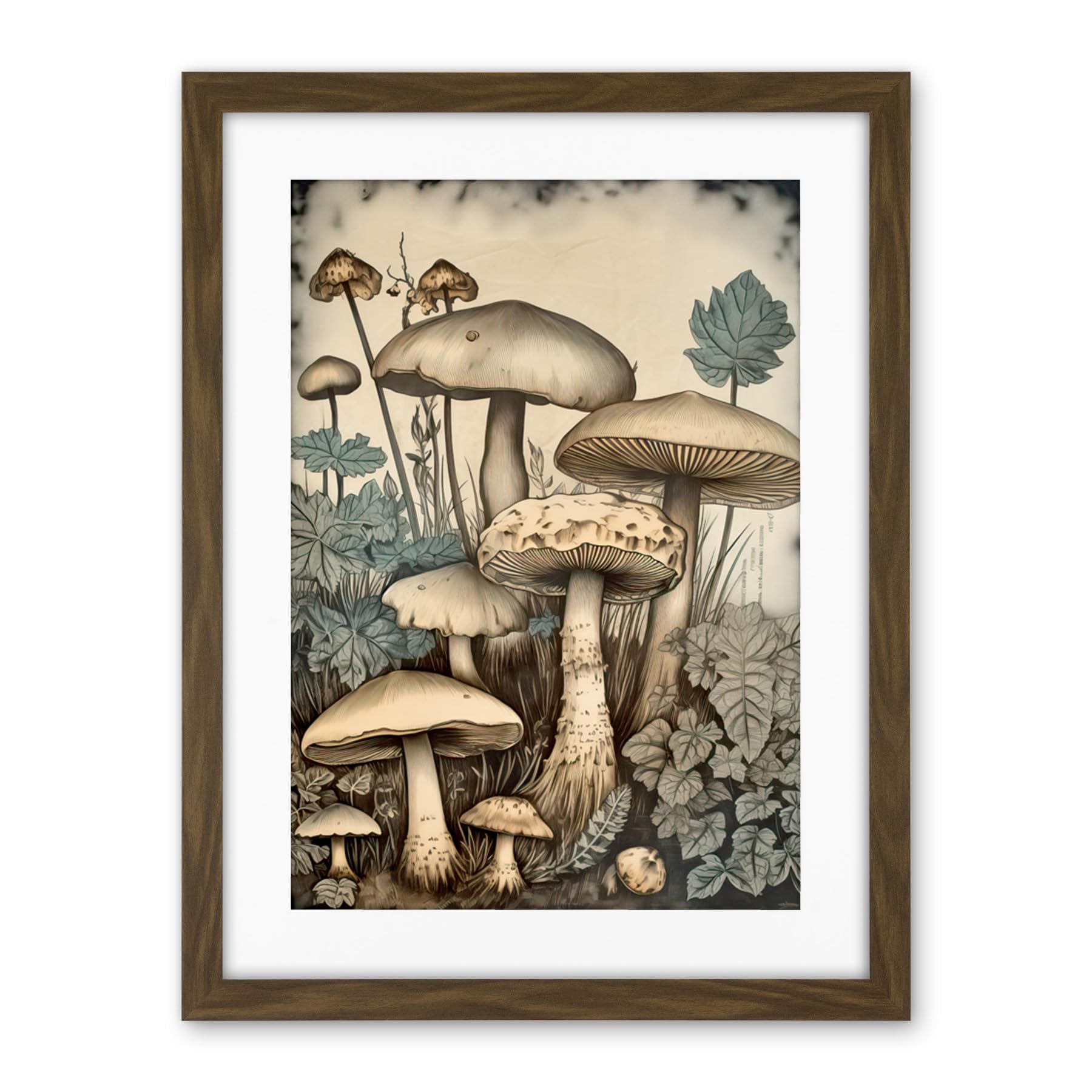 Artery8 Mushroom Fungi Watercolour Vintage Cottagecore Aesthetic Rustic Decor Artwork Framed Wall Art Print 18X24 Inch